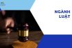 Đào tạo từ xa ngành Luật Trường Đại học Mở Hà Nội